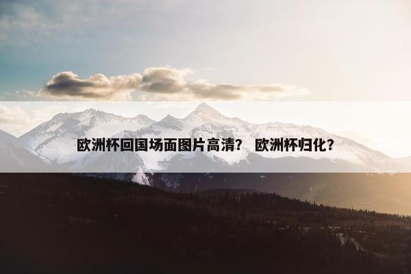 欧洲杯回国场面图片高清？ 欧洲杯归化？