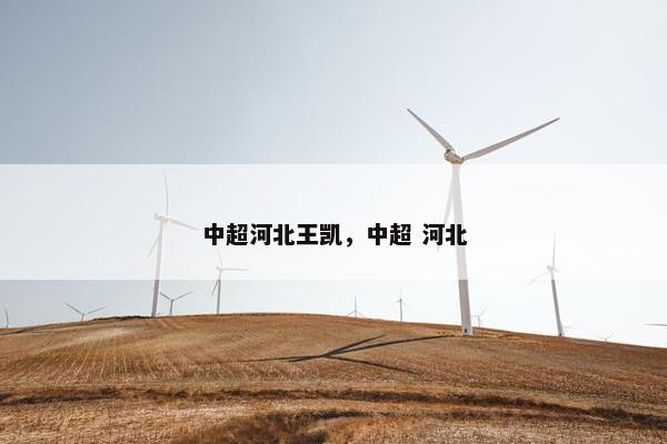 中超河北王凯，中超 河北