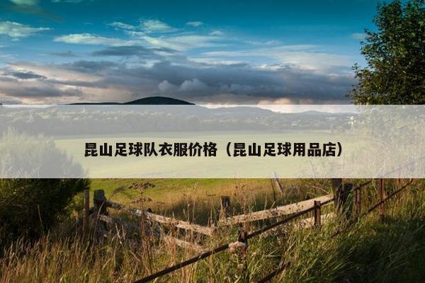 昆山足球队衣服价格（昆山足球用品店）
