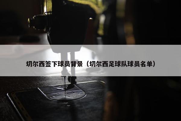 切尔西签下球员背景（切尔西足球队球员名单）
