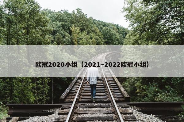 欧冠2020小组(2021~2022欧冠小组) 欧冠2020小组(2021~2022欧冠小组)