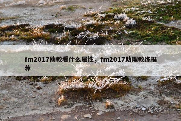 fm2017助教看什么属性，fm2017助理教练推荐