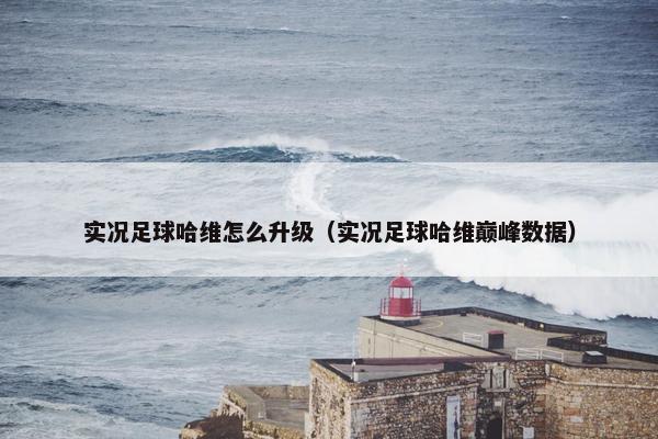 实况足球哈维怎么升级(实况足球哈维巅峰数据) 实况足球哈维怎么升级(实况足球哈维巅峰数据)