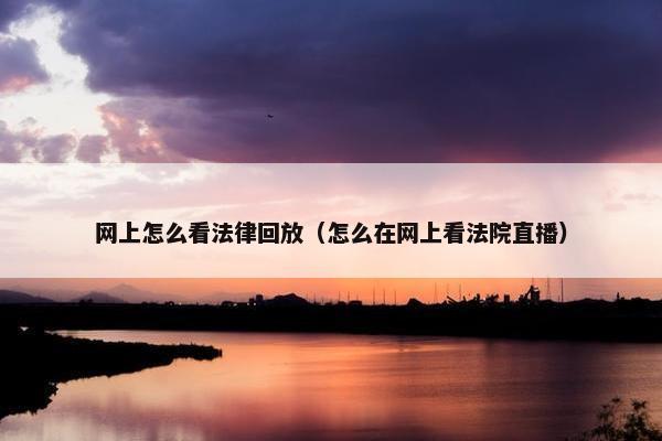 网上怎么看法律回放（怎么在网上看法院直播）