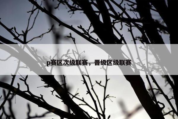 p赛区次级联赛，晋级区级联赛