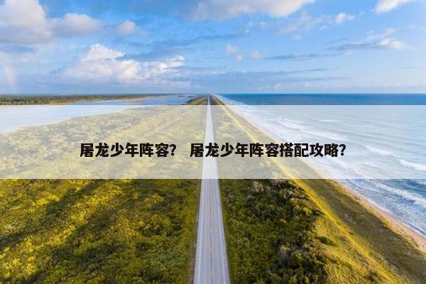 屠龙少年阵容？ 屠龙少年阵容搭配攻略？