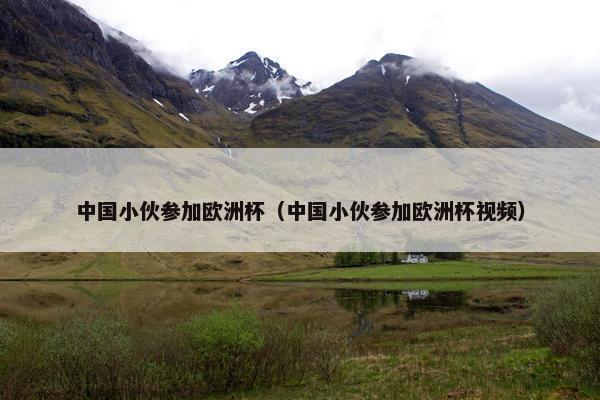 中国小伙参加欧洲杯（中国小伙参加欧洲杯视频）