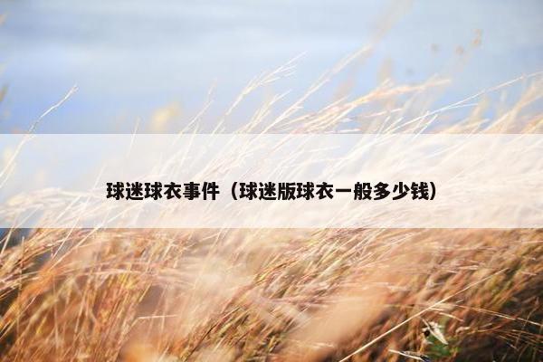 球迷球衣事件（球迷版球衣一般多少钱）