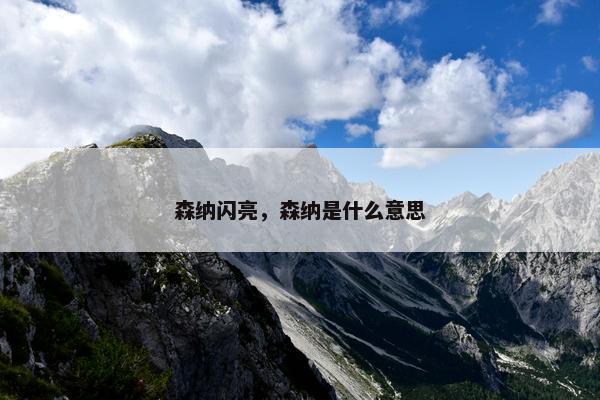 森纳闪亮，森纳是什么意思