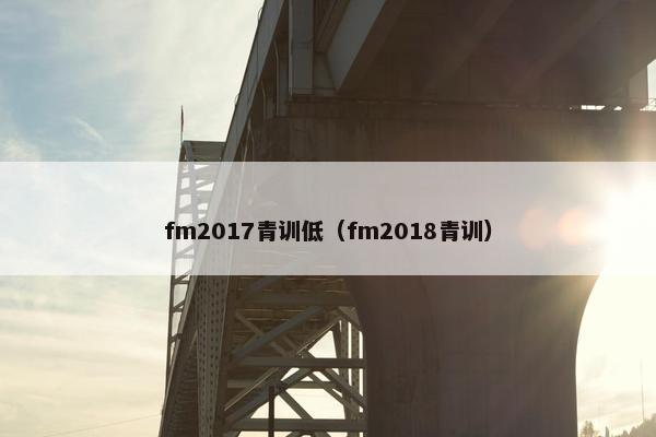fm2017青训低（fm2018青训）