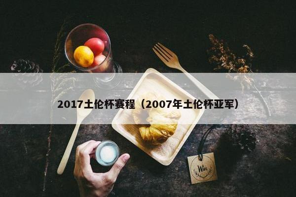 2017土伦杯赛程（2007年土伦杯亚军）