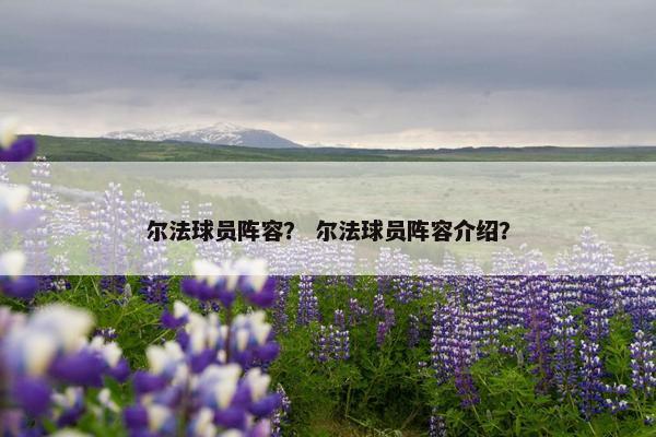 尔法球员阵容? 尔法球员阵容介绍? 尔法球员阵容? 尔法球员阵容介绍?