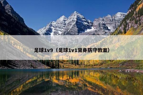 足球1v9（足球1v1背身防守教案）