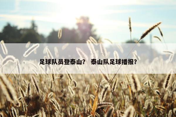 足球队员登泰山？ 泰山队足球播报？