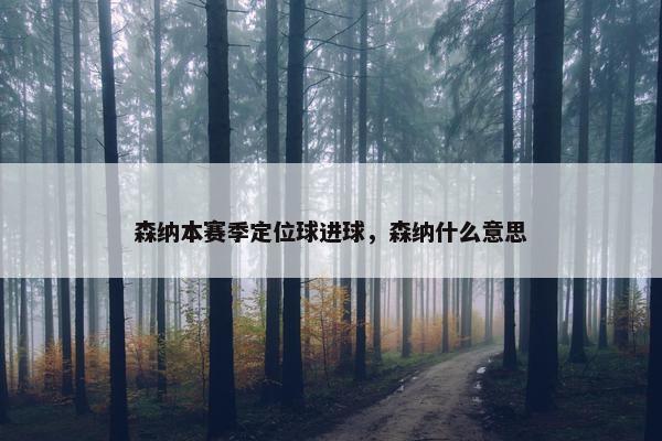 森纳本赛季定位球进球，森纳什么意思