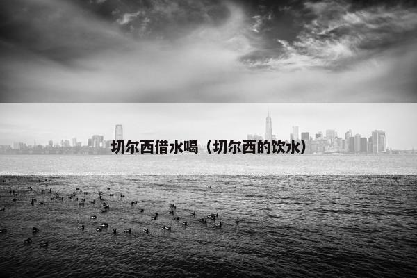 切尔西借水喝（切尔西的饮水）