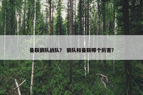 曼联狼队战队？ 狼队和曼联哪个厉害？