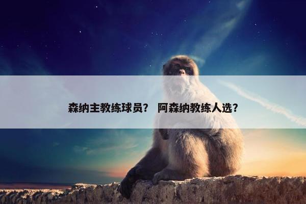 森纳主教练球员？ 阿森纳教练人选？