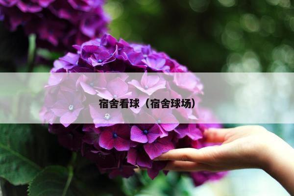 宿舍看球（宿舍球场）