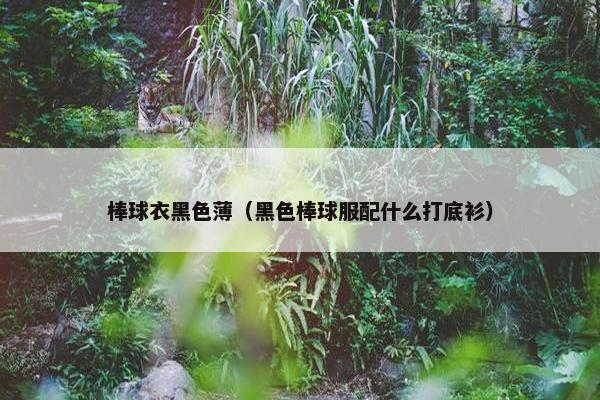 棒球衣黑色薄（黑色棒球服配什么打底衫）