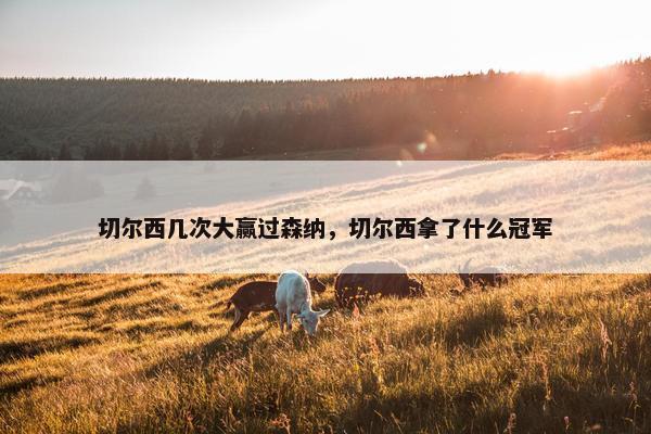 切尔西几次大赢过森纳，切尔西拿了什么冠军