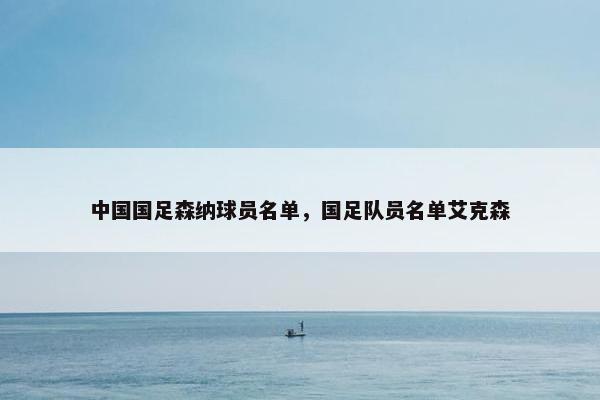 中国国足森纳球员名单，国足队员名单艾克森