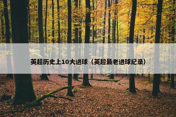 英超历史上10大进球(英超最老进球纪录) 英超历史上10大进球(英超最老进球纪录)