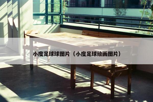 小度足球球图片（小度足球绘画图片）
