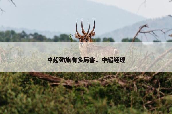 中超劲旅有多厉害，中超经理