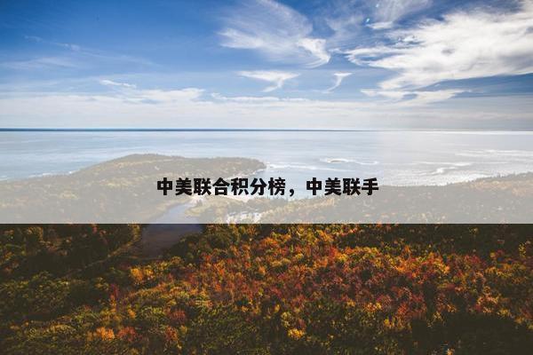 中美联合积分榜，中美联手