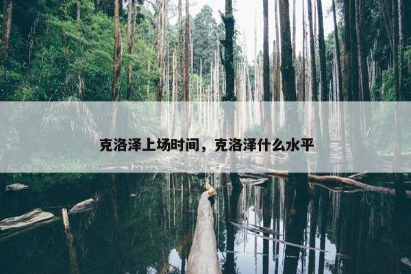 克洛泽上场时间，克洛泽什么水平