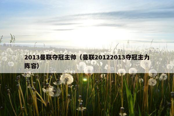 2013曼联夺冠主帅（曼联20122013夺冠主力阵容）