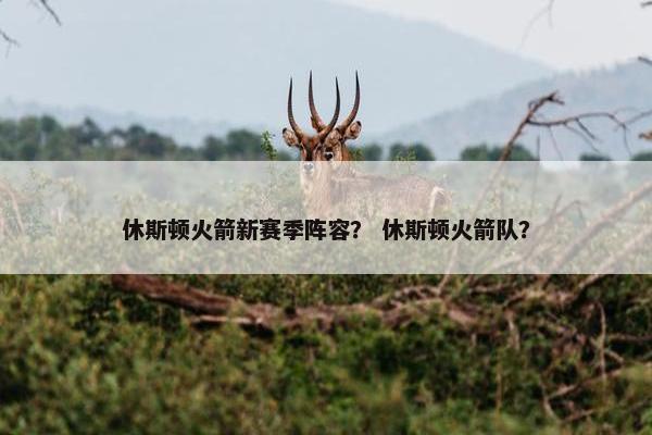 休斯顿火箭新赛季阵容？ 休斯顿火箭队？