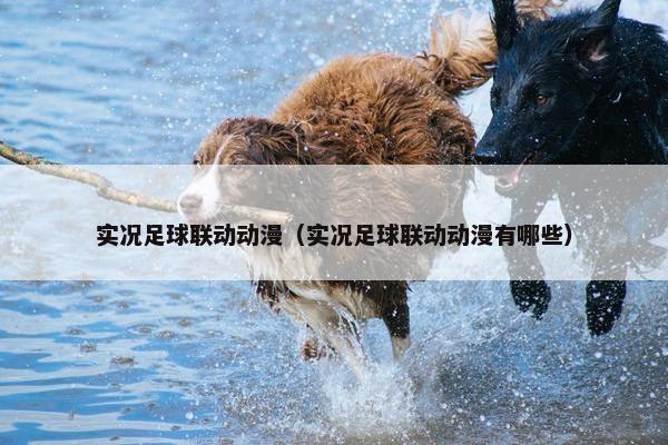 实况足球联动动漫（实况足球联动动漫有哪些）