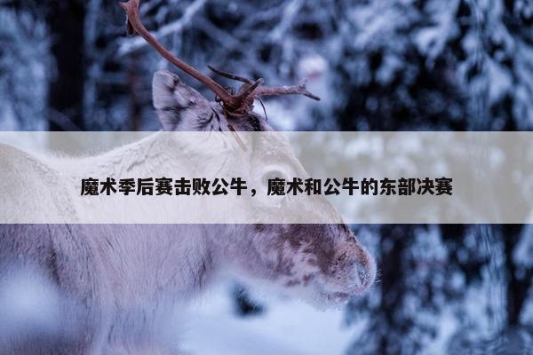 魔术季后赛击败公牛，魔术和公牛的东部决赛