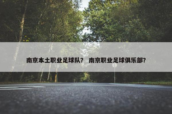 南京本土职业足球队？ 南京职业足球俱乐部？