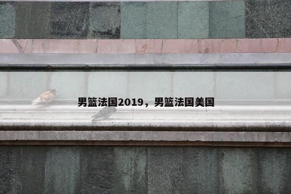 男篮法国2019，男篮法国美国