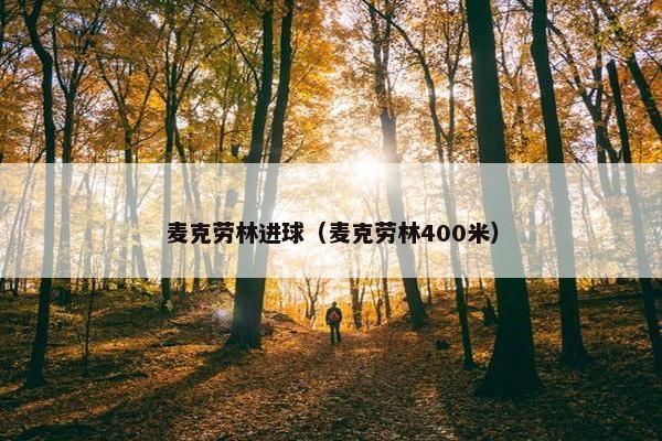 麦克劳林进球（麦克劳林400米）