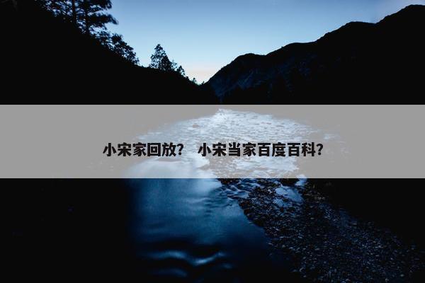 小宋家回放？ 小宋当家百度百科？