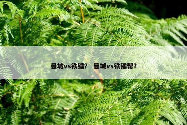 曼城vs铁锤？ 曼城vs铁锤帮？