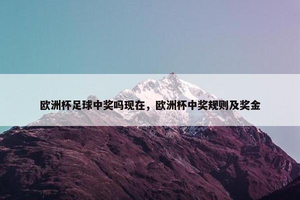 欧洲杯足球中奖吗现在，欧洲杯中奖规则及奖金
