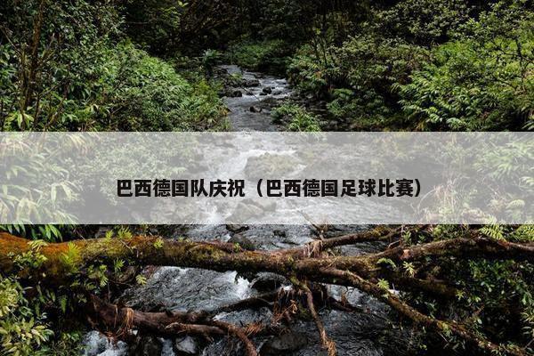 巴西德国队庆祝（巴西德国足球比赛）
