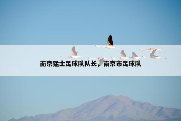 南京猛士足球队队长，南京市足球队