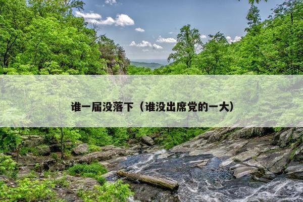 谁一届没落下（谁没出席党的一大）