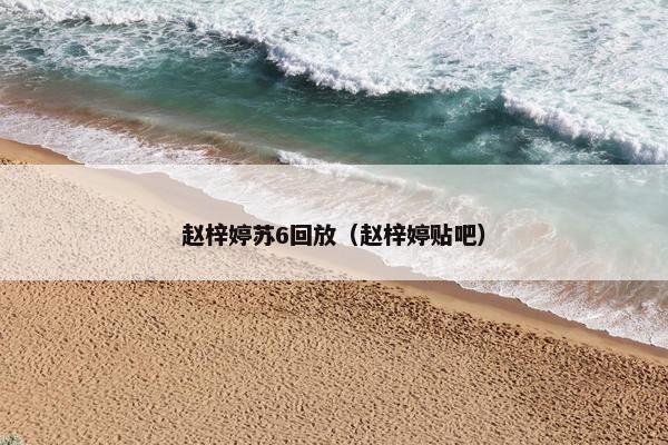 赵梓婷苏6回放（赵梓婷贴吧）