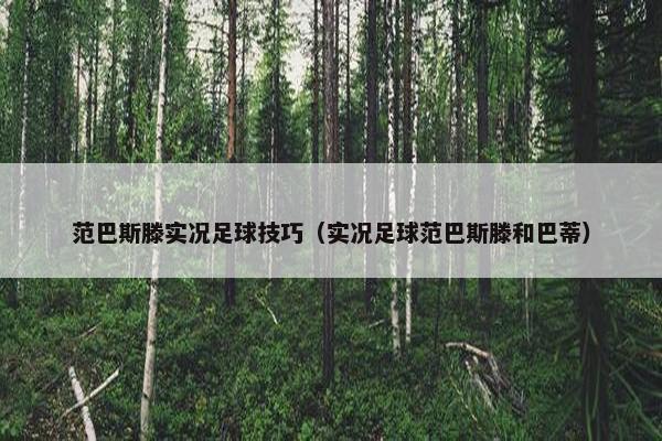 范巴斯滕实况足球技巧(实况足球范巴斯滕和巴蒂) 范巴斯滕实况足球技巧(实况足球范巴斯滕和巴蒂)