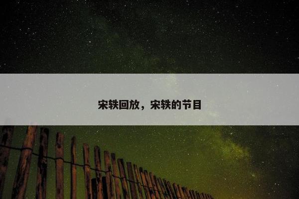 宋轶回放，宋轶的节目