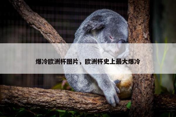 爆冷欧洲杯图片，欧洲杯史上最大爆冷