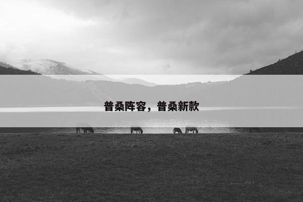普桑阵容，普桑新款