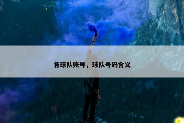 各球队账号，球队号码含义